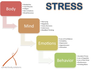 StressGraphic